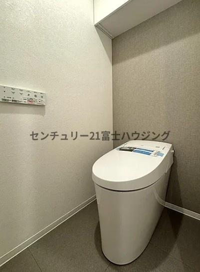 ルピナス湘南海岸