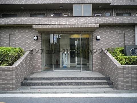 ルピナス湘南海岸