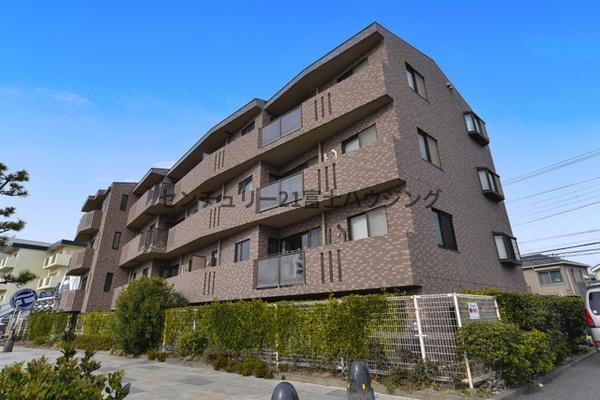 ルピナス湘南海岸