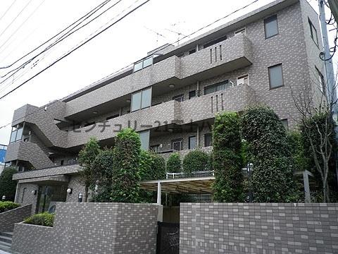 ルピナス湘南海岸