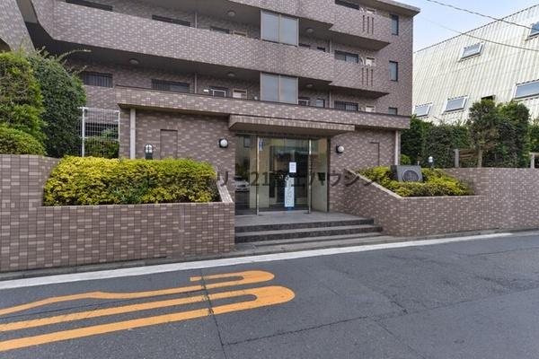ルピナス湘南海岸