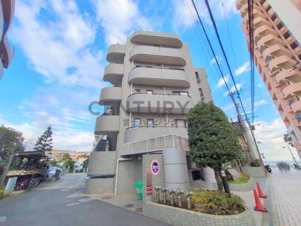 シルフィード湘南