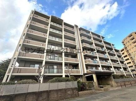 ケルン藤沢