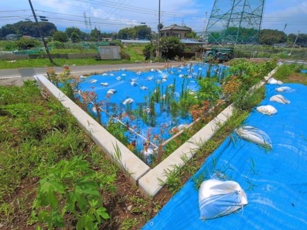 藤沢市用田の土地