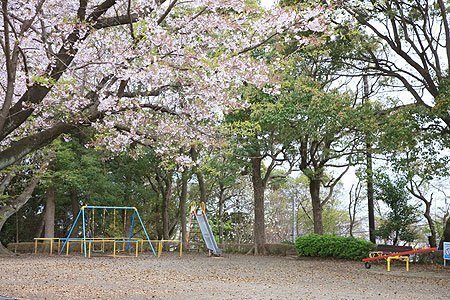 藤沢市藤沢5丁目　新築戸建1号棟　全3棟(伊勢山緑地)