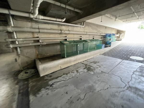 グレイス藤沢善行パークステージ