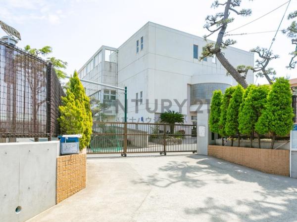 茅ヶ崎市美住町の土地(茅ヶ崎市立松浪小学校)