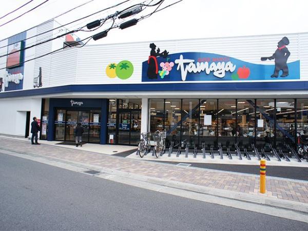 ジオ茅ヶ崎フレシア(たまや茅ヶ崎駅南店)