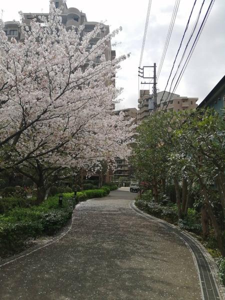 ベルパーク湘南茅ヶ崎E館(その他共用部分)