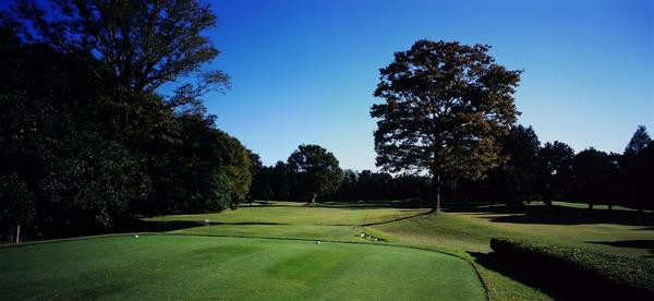 茅ヶ崎市甘沼の土地(スリーハンドレッドゴルフ倶楽部)