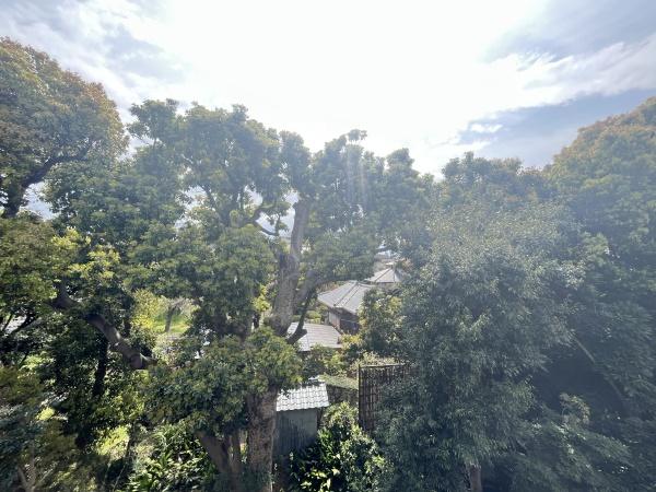 ジェームス湘南