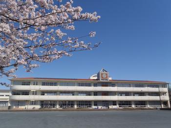 藤沢市辻堂３丁目の新築一戸建(藤沢市立高砂小学校)