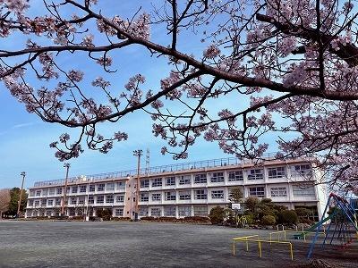 平塚市西真土４丁目の中古一戸建て(平塚市立真土小学校)