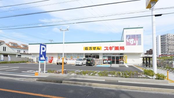 茅ヶ崎市円蔵１丁目の新築一戸建(スギ薬局茅ヶ崎高田店)