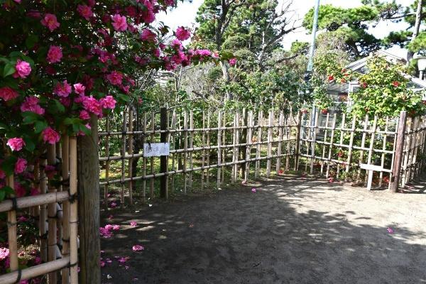 パシフィックガーデン茅ヶ崎　B棟(氷室椿庭園)