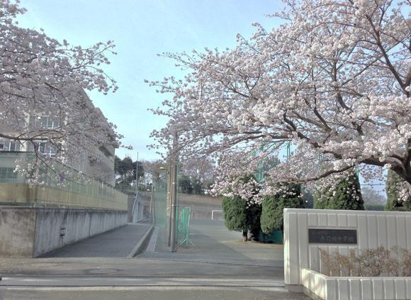 クレアコート湘南辻堂(茅ヶ崎市立赤羽根中学校)