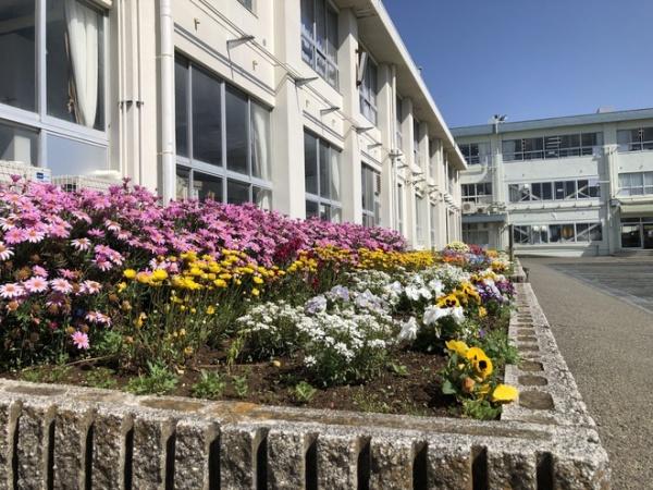 茅ヶ崎市松林2丁目の新築一戸建(茅ヶ崎市立松林小学校)