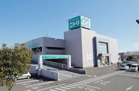 茅ヶ崎市中島の新築一戸建(ニトリ茅ヶ崎店)