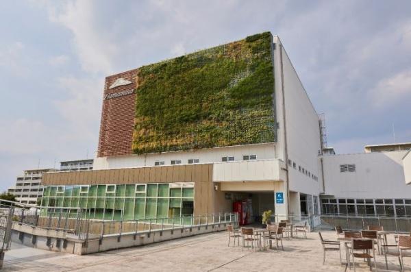 茅ヶ崎市松尾の新築一戸建(茅ヶ崎市役所ハマミーナ出張所)