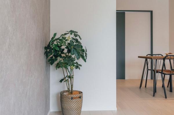 草津市矢橋町１号地　新築一戸建