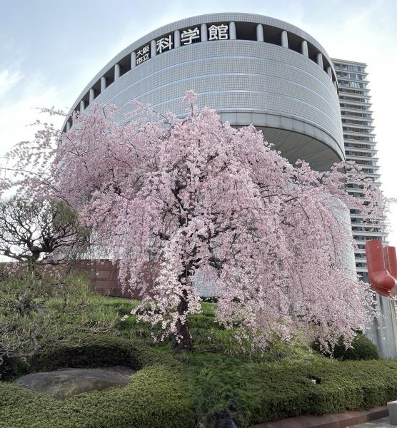 グランスイート中之島タワー 20階(大阪市立科学館)