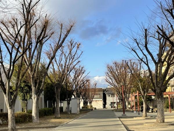 中津セントポリア(中津公園)