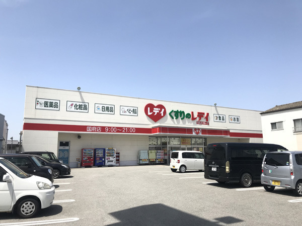 徳島市国府町観音寺の中古一戸建て(くすりのレデイ国府店)