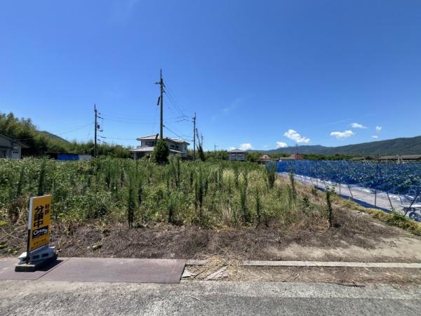 阿波市阿波町三本柳の土地