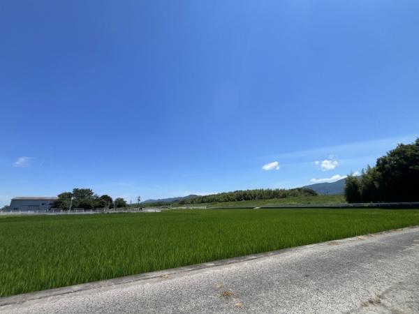 阿波市阿波町三本柳の土地