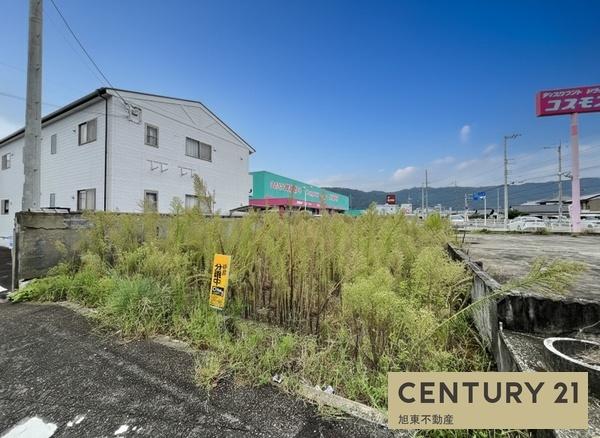 吉野川市鴨島町上下島の土地
