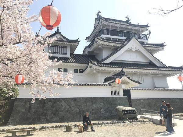 鳴門市撫養町弁財天字三ツ井丁の土地(妙見山公園・トリーデなると)