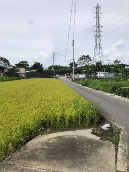 徳島市名東町３丁目の売土地