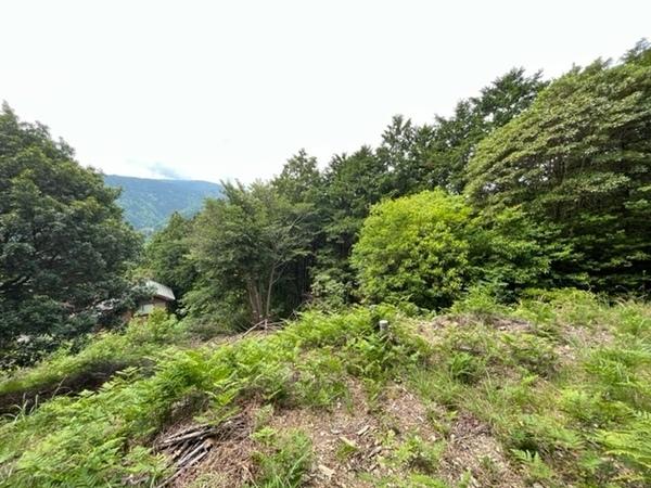 名東郡佐那河内村上字横峰の土地