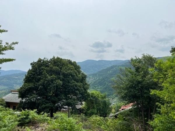 名東郡佐那河内村上字横峰の土地