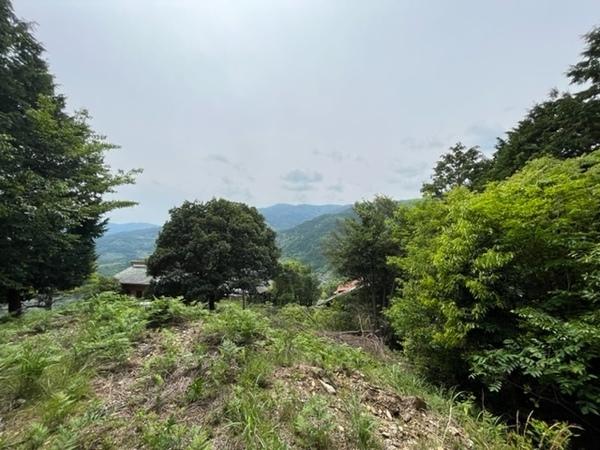 名東郡佐那河内村上字横峰の土地