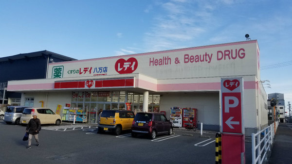 徳島市城南町3丁目の土地(くすりのレデイ八万店)