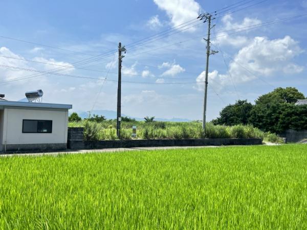 阿南市宝田町井関の土地