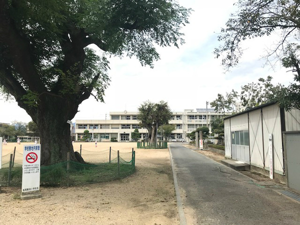 吉野川市鴨島町飯尾の土地(吉野川市立飯尾敷地小学校)