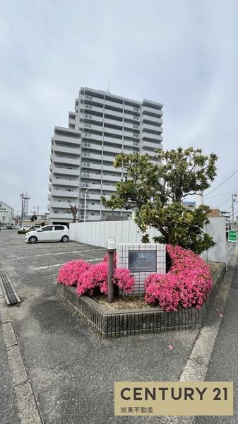 サーパス鳴門