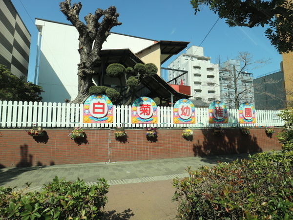 エルグリーンたつみ(白菊幼稚園)