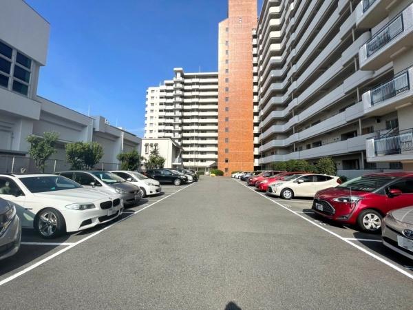 エルグリーンたつみ
