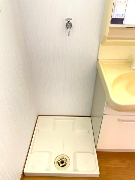 大阪市平野区加美北3丁目の中古一戸建て(洗面台・洗面所)