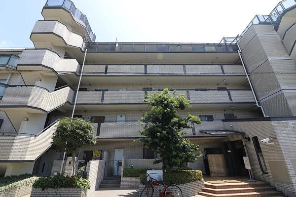 ルネ山坂