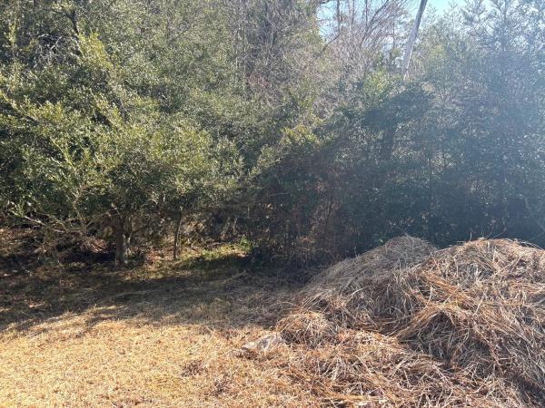 大阪府豊能郡能勢町宿野