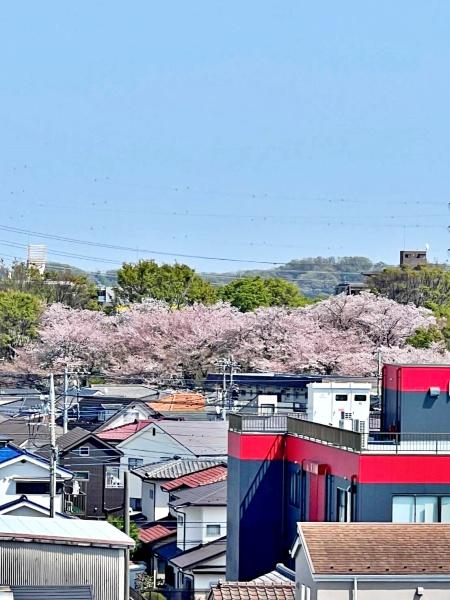 モリス豊田旭が丘