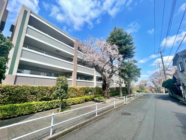 レクセルヒルズ日野