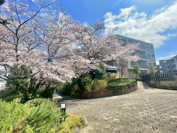 レクセルヒルズ日野