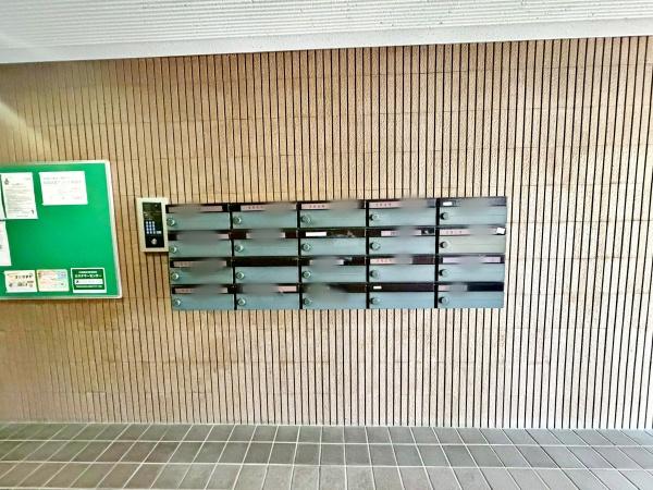 ドムール江古田