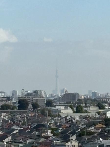 グランドメゾン杉並シーズン6