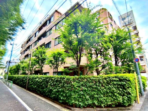 メイツ新桜台